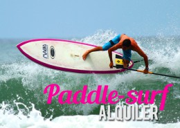 paddle